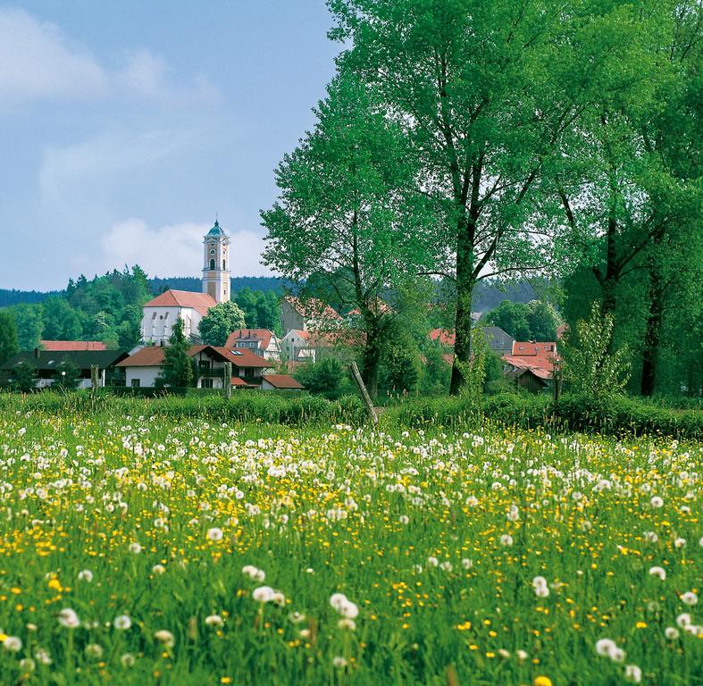 Ferienwohnung Cornelia Бад-Бирнбах Экстерьер фото